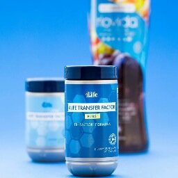 4Life Mexico, Leon GTO. Factores de Transferencias. WhatsApp: https://t.co/7p7gcnXGrM