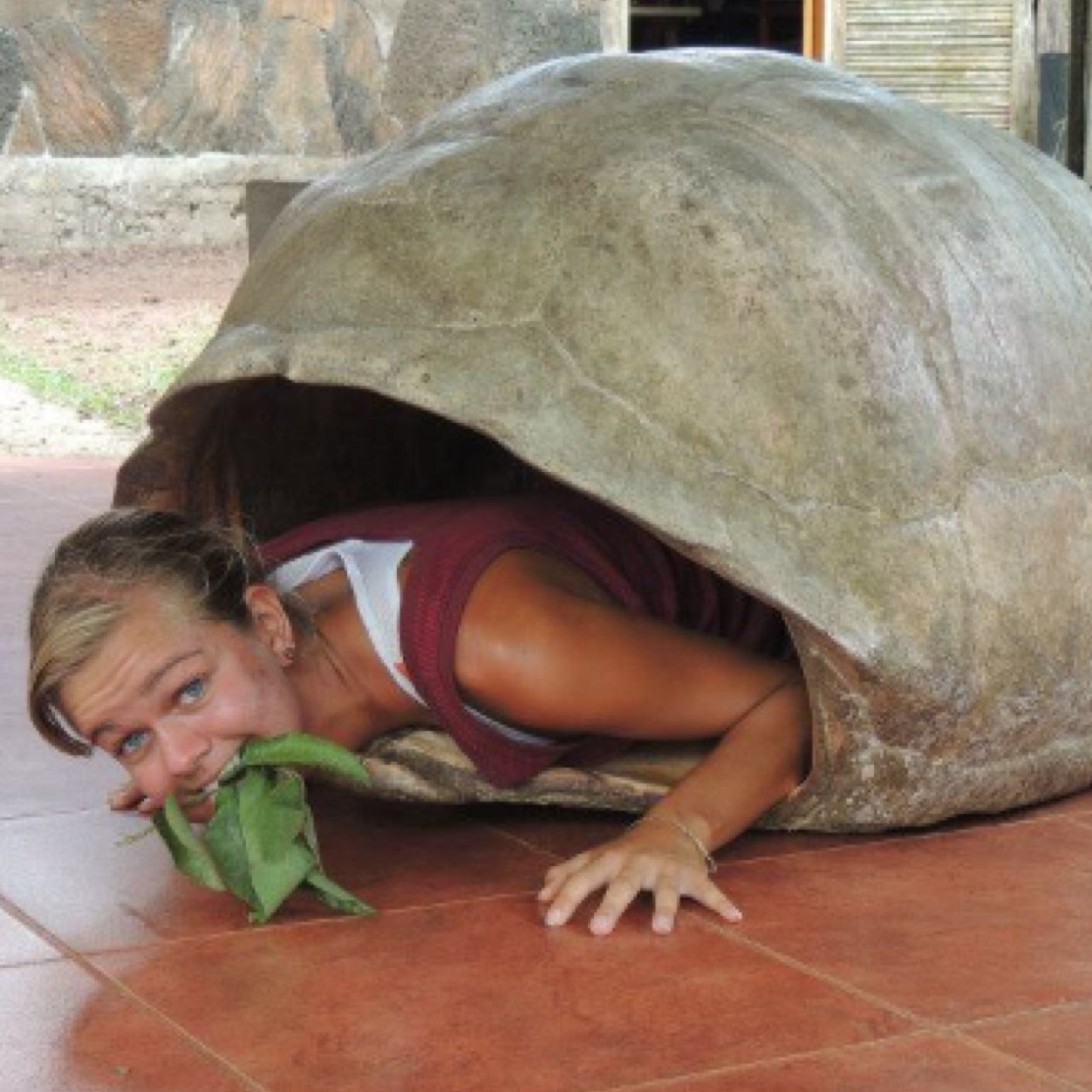 gwin_katie's profile picture. In a world where people couldn't care less, be someone who couldn't care more