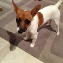 kyle bate - @kfb919 - Twitter