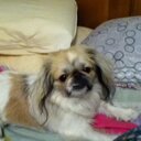 jenna kramer - @jennak25_jk - Twitter