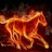 Sam_Hutabalian's profile image