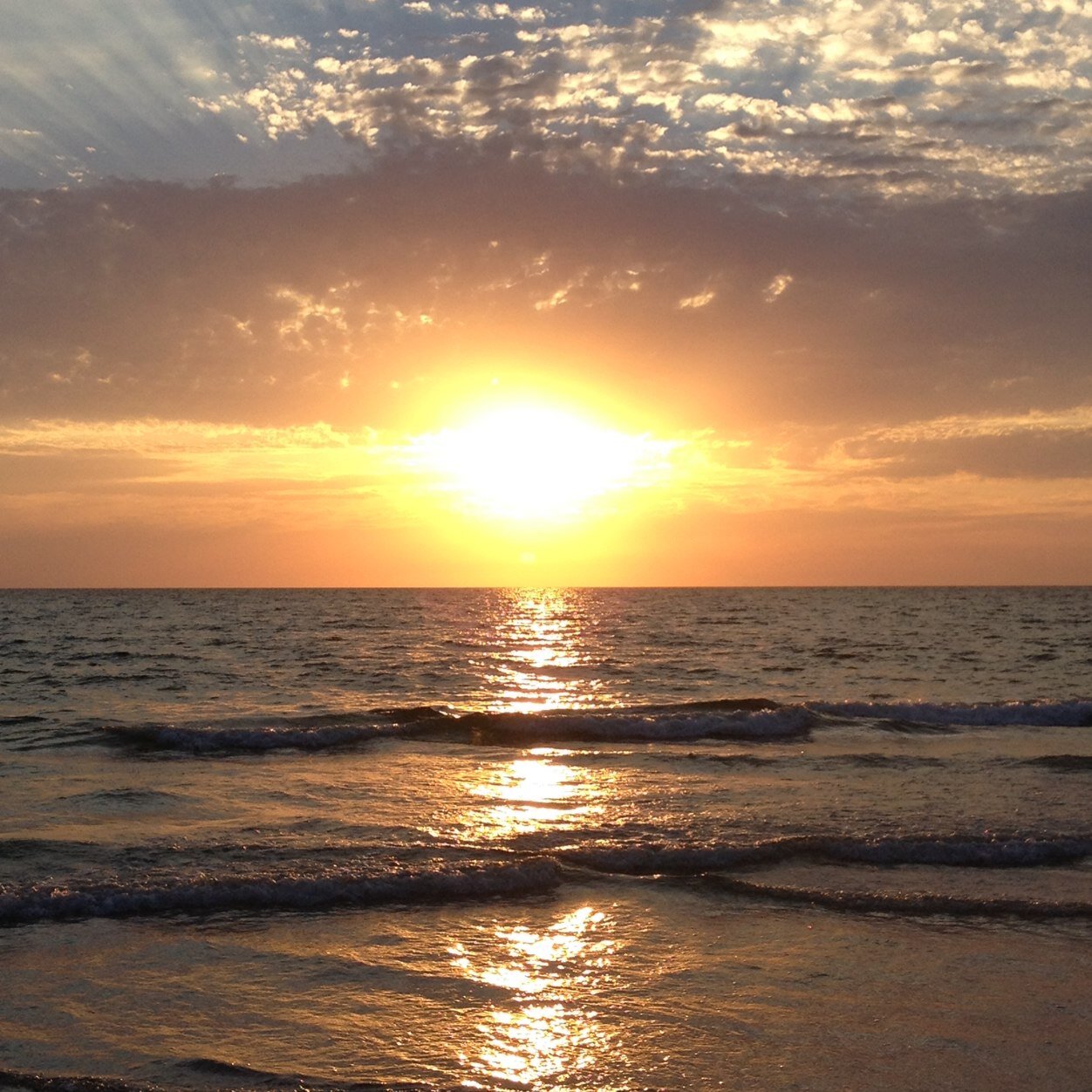 peggylfry's profile picture. 