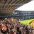 utasstadium's profile image