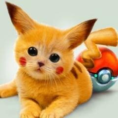 IDECHさんのプロフィール画像