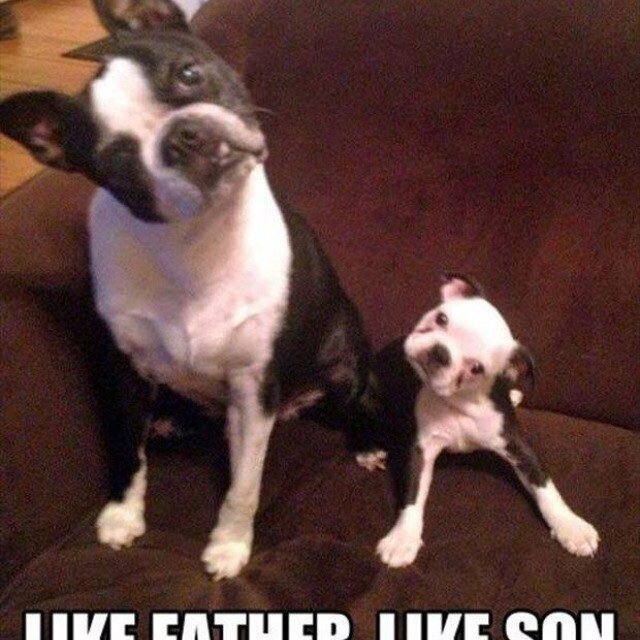 niecee3's profile picture. 