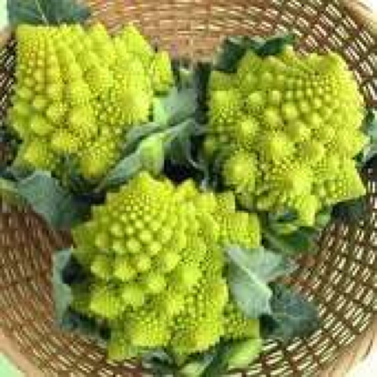 nobuakijojo's profile picture. 城北埼玉の中2です
ドラゴンボール、ジョジョ、ハンタ、NARUTO、テラフォマーズ、ハガレン、鉄拳が好きな人は絡んでください