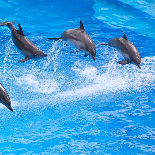 Bjncr1's profile picture. Nunca es tarde para empezar de nuevo!!