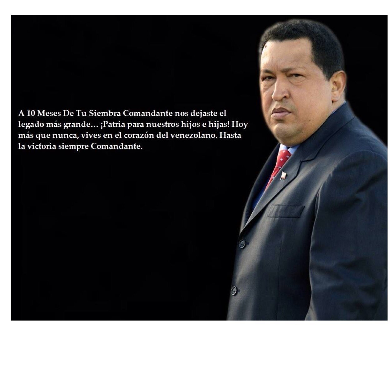 josevasquez31's profile picture. 