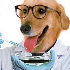 Scientist | Sinistromanual | Skepticist | Sciophilous MAGIC THEATRE. ENTRANCE NOT FOR EVERYBODY.