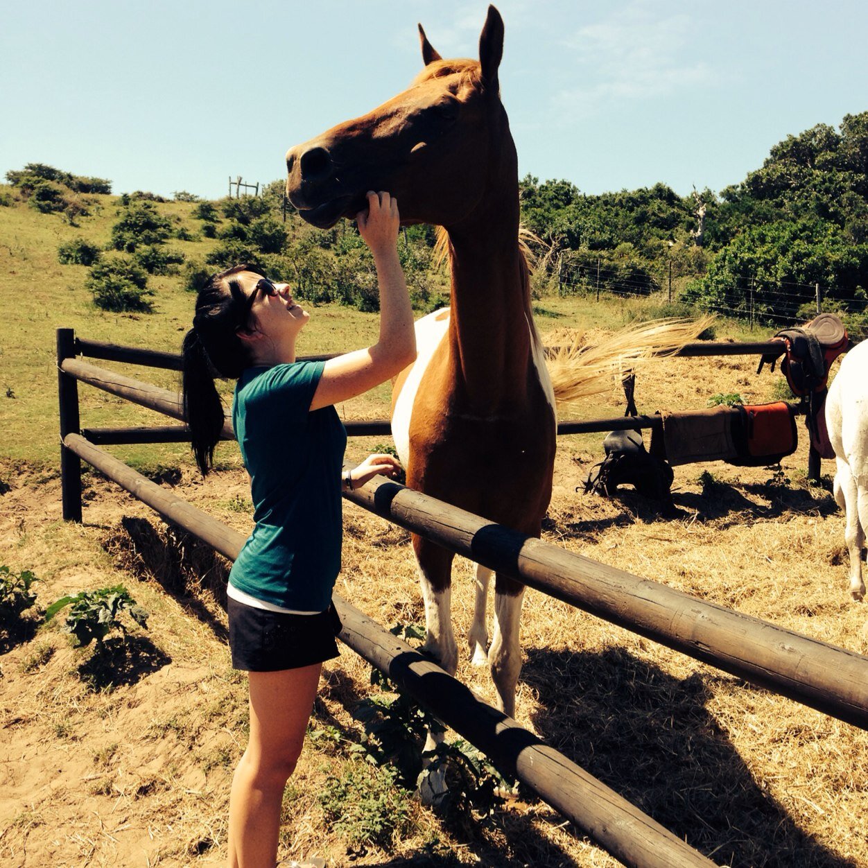 Girl on a mission. Animal Obsessed. UCT Student. Lover of all things pink. Live. Love. Laugh. Dream. Hope. Smile. Happiness.
