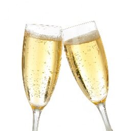 The Secret Society membership group. Access the most secret and VIP parties in the world.