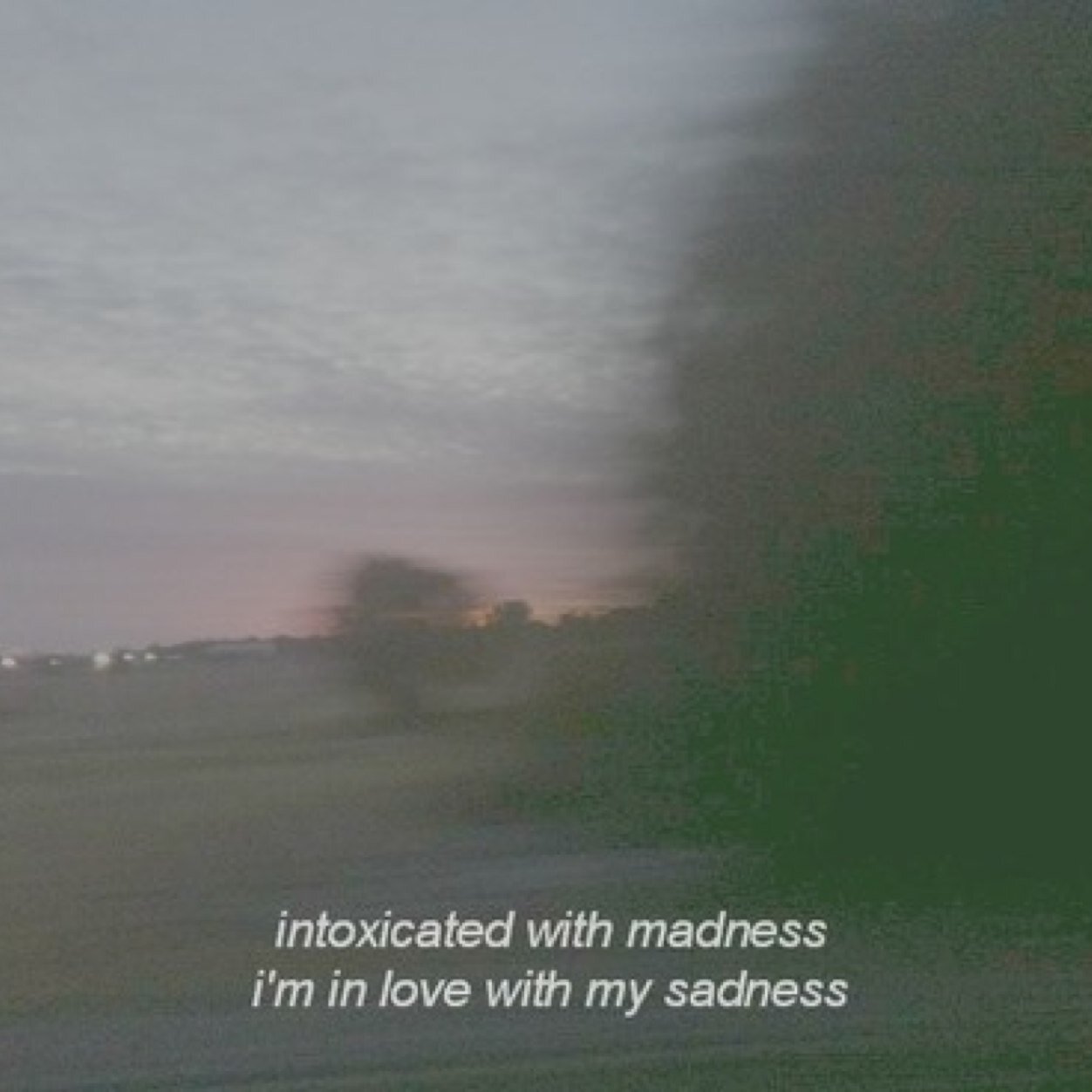 Please credit my username if you use/repost my photos.  thanks darlings. #illhueminati