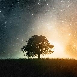 noblemarshall's profile picture. Something about something witty should be here.