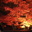 Veronica Powers - @Okonomiyaki20 - Twitter