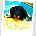 David Dyer - @BinaryLawgic - Twitter