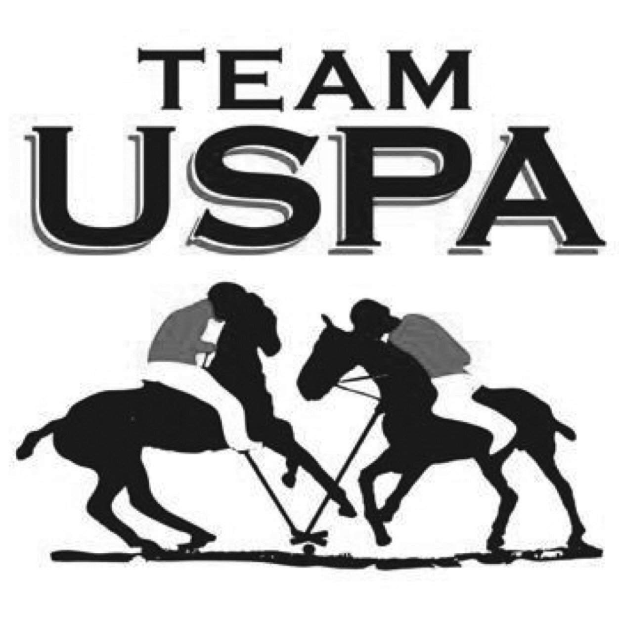 TEAMUSPA_Us's profile picture. 