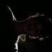 Addii deadwithdream (@adit_tyand) Twitter profile photo