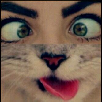 لا يوجد شي أجمل من قول الحمدالله ♥