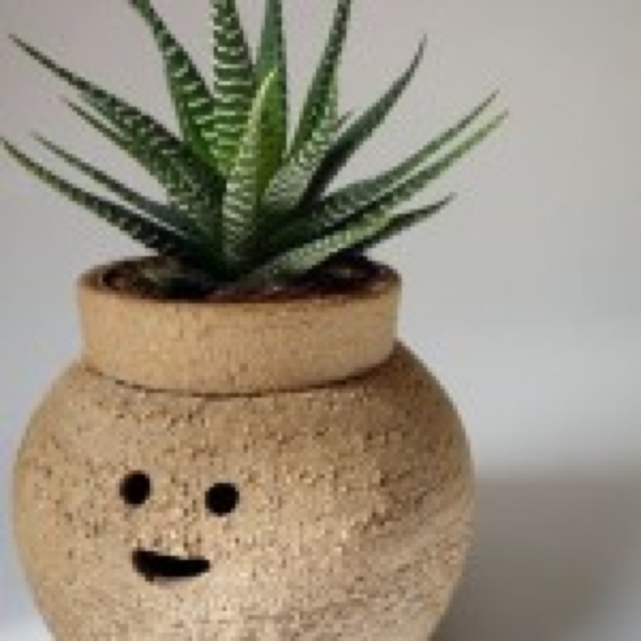 HELLO THERE FRIEND ! YOU LOOK AMAZING TODAY !