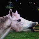 Ella Robson - @EllaRobson559 - Twitter