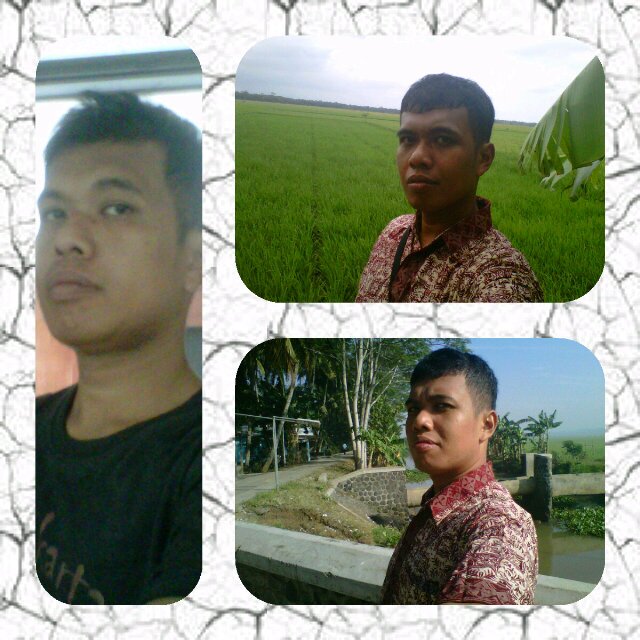 Sugigito's profile picture. 