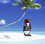 LakeEriePenguin's profile picture. 