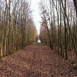 quariat's profile picture. Medienfachwirt & Genuss-Läufer