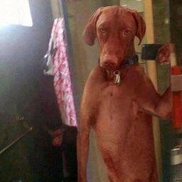 DanaK_2's profile picture. 