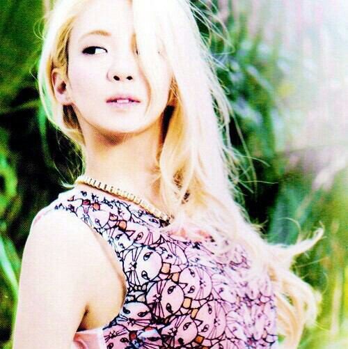 　　SNSD♡ヒョヨン　f(x)♡スジョン　TVXQ♡ジュンス　　95line　兵庫　