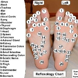 accesshealth808's profile picture. Promoting fair and equal consumer access to all licensed health practitioners as mandated by the Affordable Healthcare Act