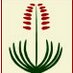 Shrubland Nurseries (@shrublandpark) Twitter profile photo