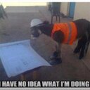 david sleigh - @bobsleigh1977 - Twitter