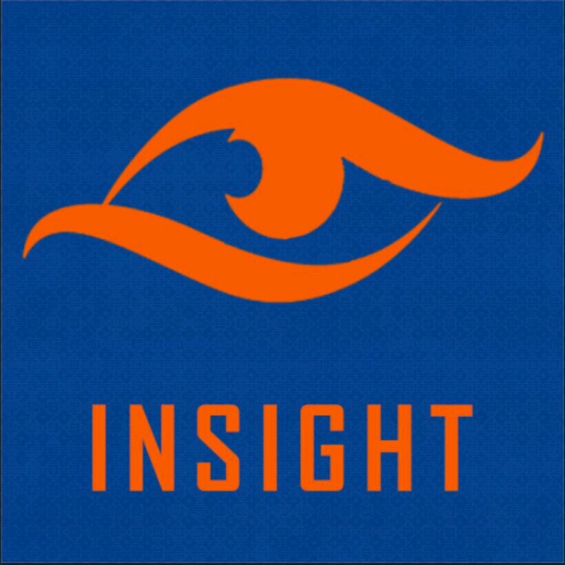 good player of Insight esports