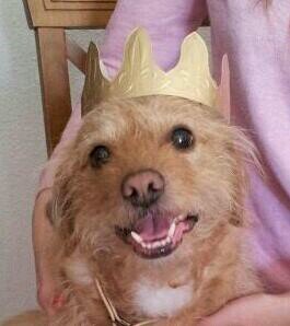 Langelapj's profile picture. 