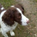 Maribel Ares López - @AresMaribel - Twitter