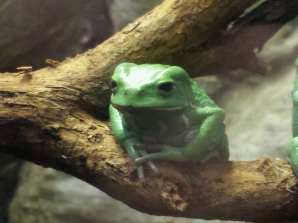 madosvalds's profile picture. 