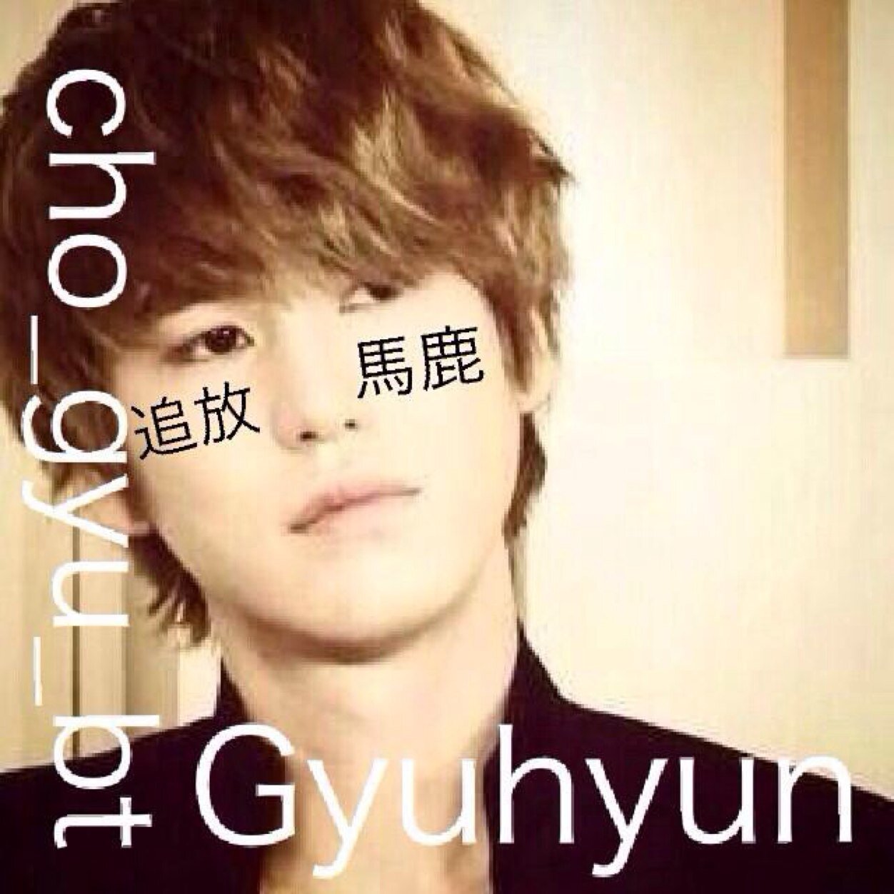 @chogyu_btの追放垢ですよ、ふは