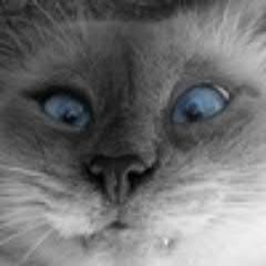 Тульский пряник, #followback взаимно.