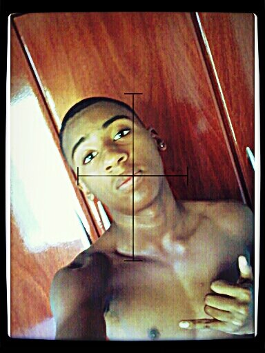 viniciusvq's profile picture. 