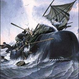 Lecteur enragé, citoyen passionné, ou l'inverse...