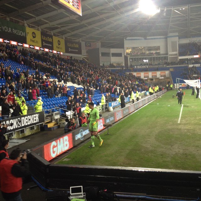 lwhitlock08's profile picture. Southampton - Pride Of The South. Follow if you love not just football but all sports. #teamfollowback