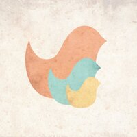 B.I.R.D.S (@birdsireland) Twitter profile photo