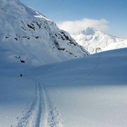 ChamGeeks's profile picture. 