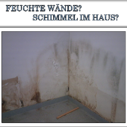 schimmelimhaus's profile picture. Schimmelfachberatung,Kellersanierung,Schimmelentfernung, Malerarbeit,Horizontalsperren,Sporendesifektion-Mülheim-Essen-Düsseldorf-Köln-Duisburg-Bochum-Dortmund