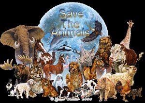 I am who I am, love me or hate me. Save the Animals, We are their voice.