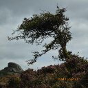 Margret Murray - @nanninoooz - Twitter