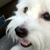 Edie (@ediwil1) Twitter profile photo Edie (@ediwil1) Twitter profile photo