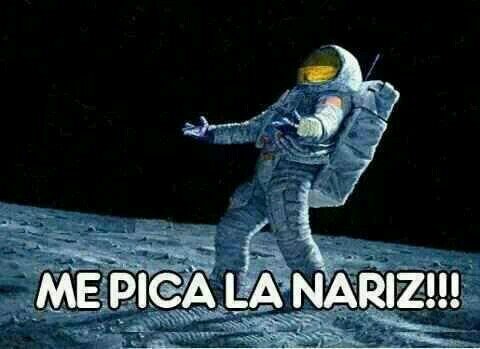 Si los  TONTOS  volaran, no se veria el cielo