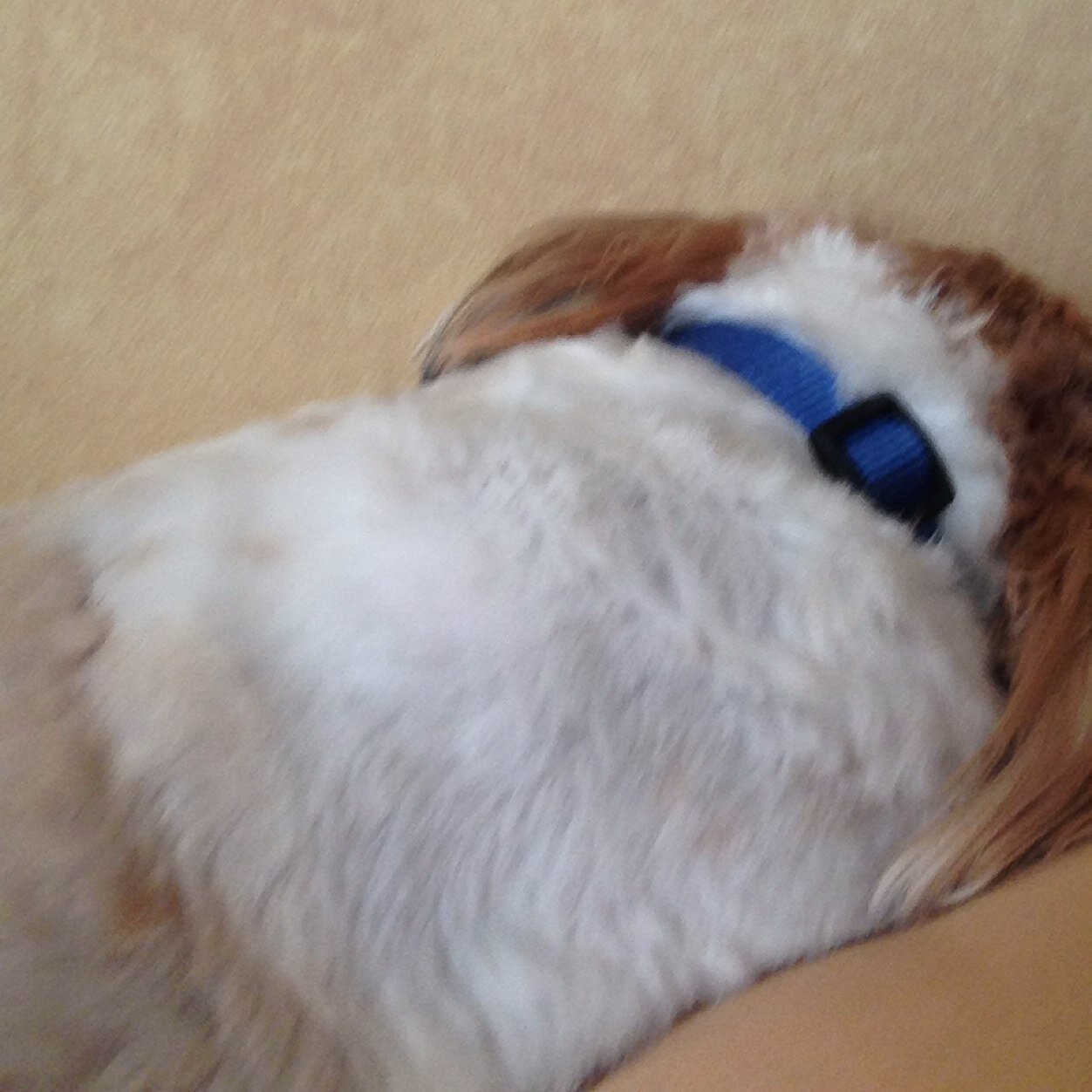 beckybarr1965's profile picture. 