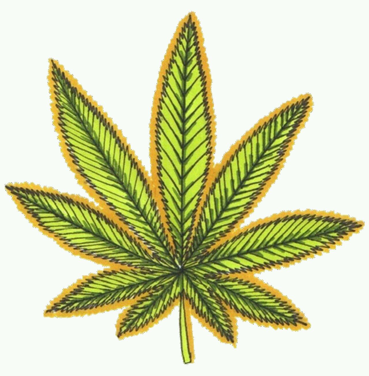 StonerSavvy's profile picture. The Stoner's Lifestyle